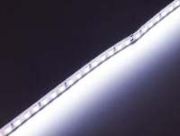 320008 LED стрічка 12В 2835-120 Series PRO 14Вт 1500Лм Білий Холодний 5500-6000К IP20 8мм
